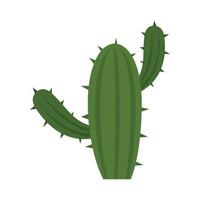 Desert cactus icon flat isolated vector