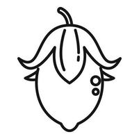 vector de contorno de icono de fruta de jojoba. semilla de planta