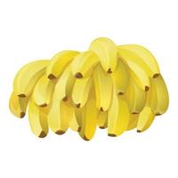 vector de dibujos animados de icono de plátanos de granja. postre saludable
