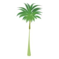 Thin palm tree icon, cartoon style vector