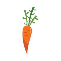 Carrot food icon flat isolated vector