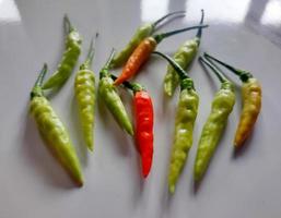 Indonesian's local chilli pepper photo