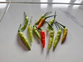 Indonesian's local chilli pepper photo