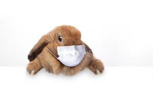 Cute brown rabbit wearing a mask Stand on the edge of the white paper. On a white backdrop. Concept of health Prevent coronavirus. Easter festival ideas photo