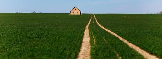 road in the middle of a green field photo