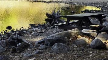 assento de madeira perto do lago verde video
