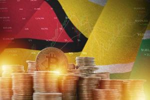 Guyana flag and big amount of golden bitcoin coins and trading platform chart. Crypto currency photo