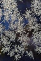 Snowflakes frost rime macro on window glass pane photo