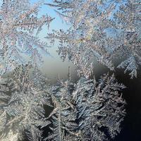 Snowflakes frost rime macro on window glass pane photo