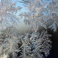 copos de nieve escarcha escarcha macro en el cristal de la ventana foto