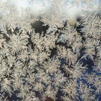 Snowflakes frost rime macro on window glass pane photo