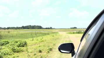 prado verde y cielo azul desde el coche de la ventana durante las vacaciones de viaje por carretera video