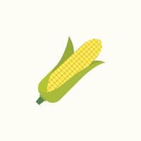 Corn cob in a green husk isolated on white background vector