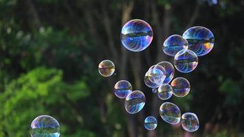 zeep bubbels drijvend in de lucht met natuurlijk groen wazig bokeh achtergrond voor kinderen en kinderen in de park video