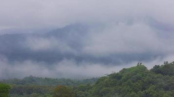 brume qui coule à travers la vallée de montagne au parc national de khao yai, thaïlande video