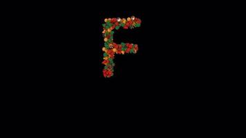 Holiday typeface out of Christmas ornaments animation with snow flakes classic colors F video