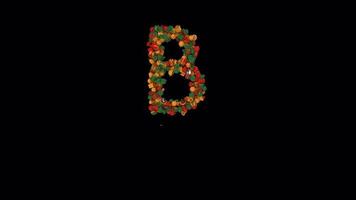 Holiday typeface out of Christmas ornaments animation with snow flakes classic colors B video