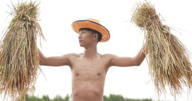 låg vinkel skott, asiatisk ung jordbrukare manlig utan skjorta bär hatt är innehav de ris plantor och höja två vapen upp över huvud, stående och ser på kamera och skratt video