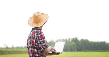 detrás de un granjero asiático que usa una camisa a cuadros y un sombrero de paja y escribe en una computadora portátil y mira los campos de arroz