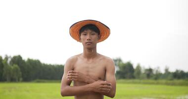 vue de face, gros plan d'un agriculteur masculin, portrait d'un jeune adulte torse nu et portant un chapeau debout, les bras croisés, souriant et regardant la caméra. champ de riz sur fond video