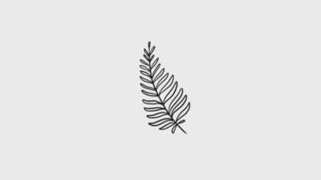 Fern animation for vintage style. Smooth moving flowers for an animated look of logos and text copy space video