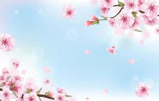 Blooming Peach Flower Background in Watercolor vector