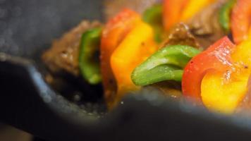 marinerad nötkött kebab med grönsaker beredd på de grill video