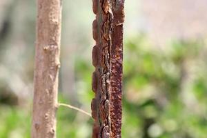 Old and rusty iron. photo