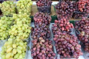 Fresh vegetables and fruits are sold at a bazaar in Israel. photo