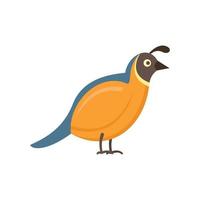 Quail bird icon flat isolated vector