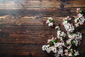 sakura floreciendo sobre un fondo oscuro de madera rústica. fondo de primavera con ramas de albaricoque florecientes y ramas de cerezo foto