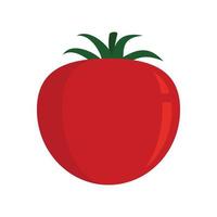 Tomato food icon flat isolated vector