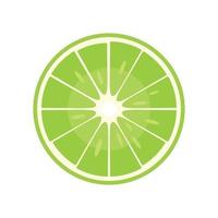 Raw half lime icon flat isolated vector