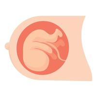 Baby in womb icon, cartoon style vector