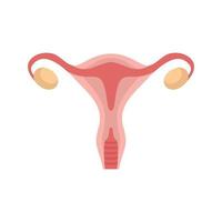 Woman uterus icon flat isolated vector