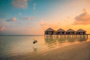 puesta de sol en la vida silvestre de la isla de Maldivas, aves volando lejos resort de lujosas villas acuáticas y muelle de madera. hermoso cielo y nubes y playa, vacaciones de verano y viajes foto