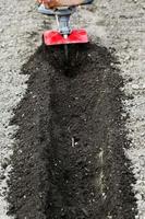 farmer makes seedbed by tiller in spring photo