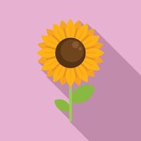 Sunflower icon flat vector. Eco farm vector