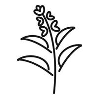 Sage icon outline vector. Leaf plant vector