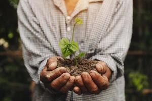 OldMan hands grabbing earth with a plant.The concept of farming and business growth.  in farm photo