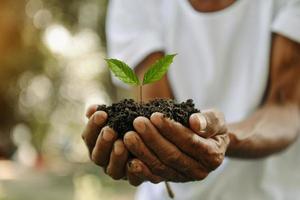 Man hands grabbing earth with a plant.The concept of farming and business growth. photo