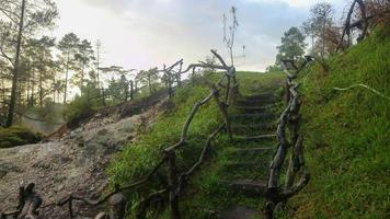 escaleras hechas de ramas de madera en un lugar turístico foto