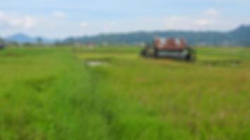 cabin in the middle of the rice fields surrounded by hills photo