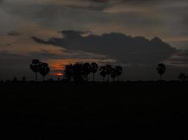 una vista del campo de arroz durante la puesta de sol en tailandia. foto