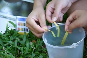 Students are experimenting and measuring the pH of water or the acidity and alkalinity of water to determine whether it is suitable for living organisms or can it be consumed by using indicator paper. photo