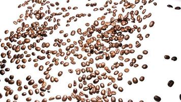 coffee beans roasted on a white background with copy space for your text photo