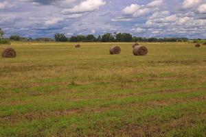 el fardo de heno tirado en el campo contra el cielo foto