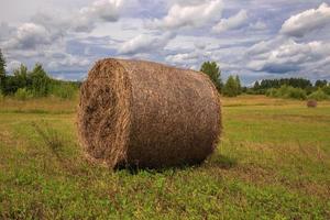 the bale of hay lying on the field against the sky photo