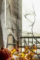 Halloween concept, decorated window with cobwebs, autumn yellow leaves, bare tree branches and a pumpkin on a dark background photo