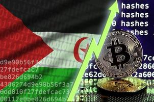 bandera del sahara occidental y flecha verde ascendente en la pantalla de minería bitcoin y dos bitcoins dorados físicos foto